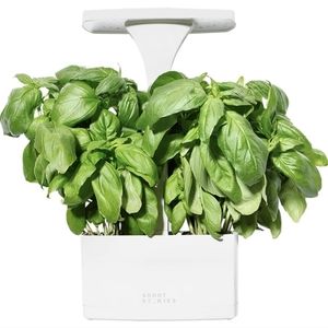 LED indoor planter